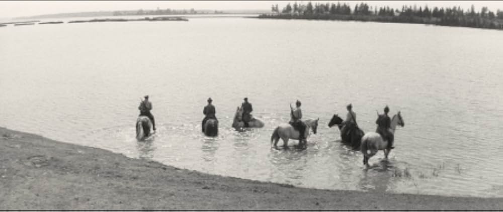 The Red and the White（英題）の画像