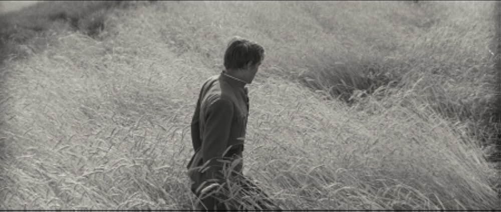 The Red and the White（英題）の画像