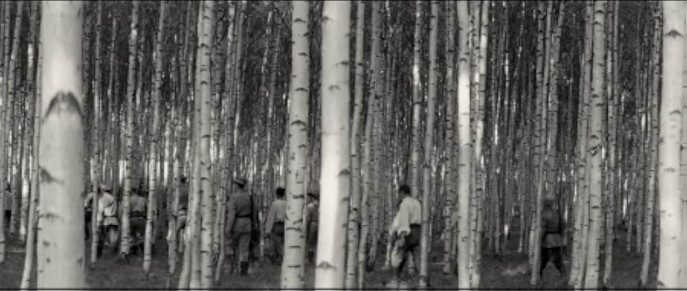 The Red and the White（英題）の画像