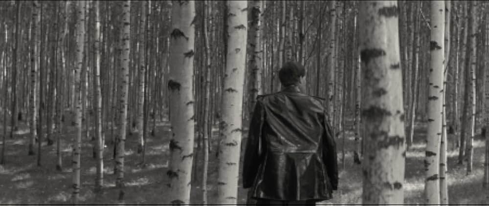 The Red and the White（英題）の画像