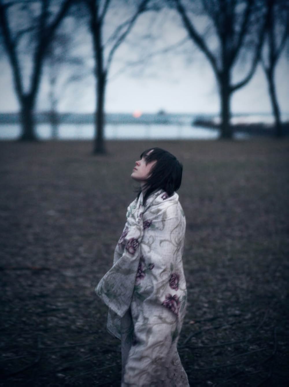 The Tracey Fragments（原題）の画像