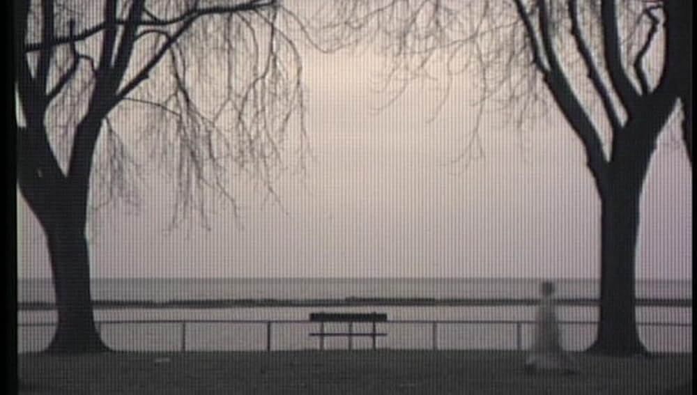 The Tracey Fragments（原題）の写真