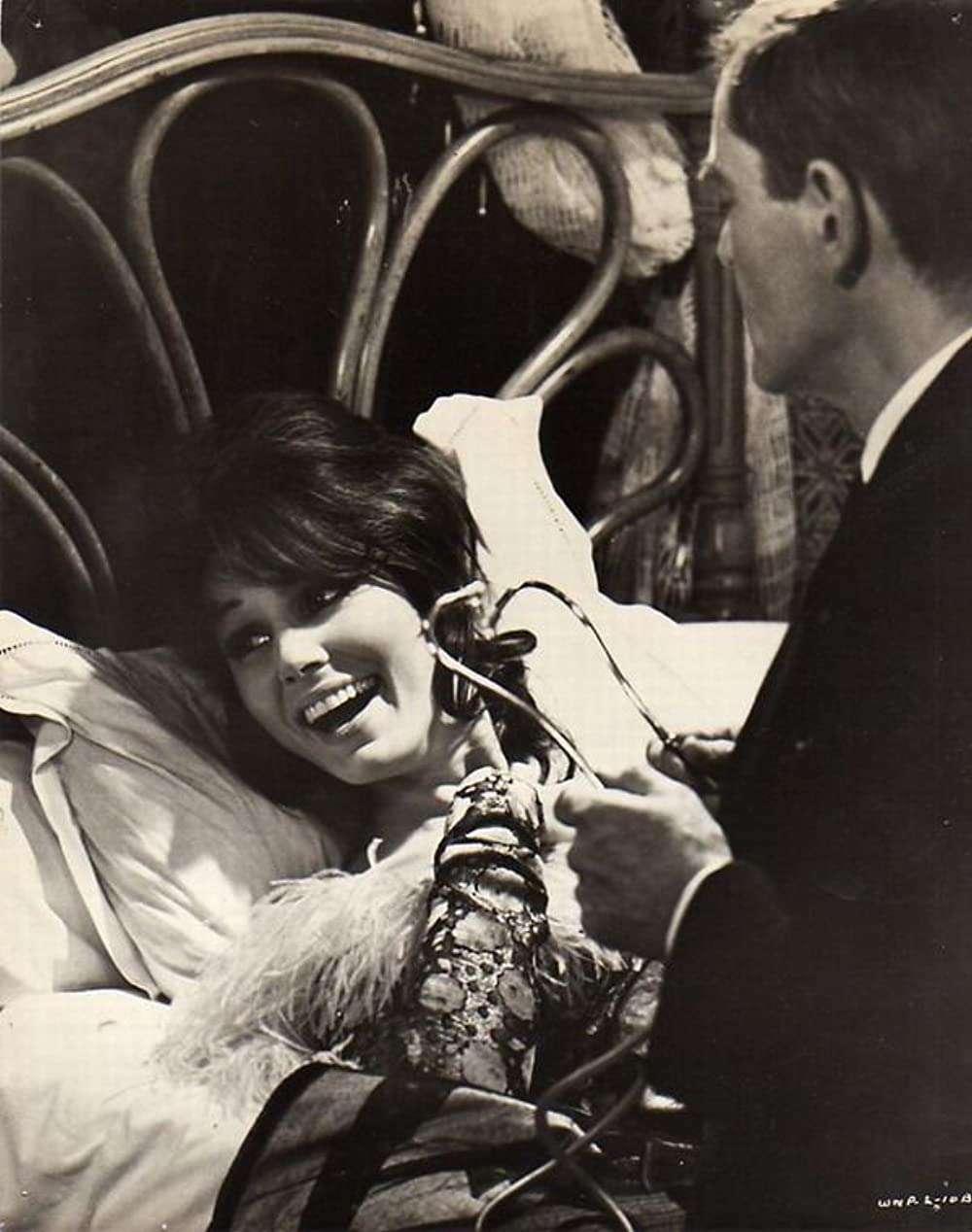 何かいいことないか子猫チャンの画像