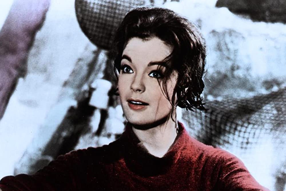 何かいいことないか子猫チャンの画像