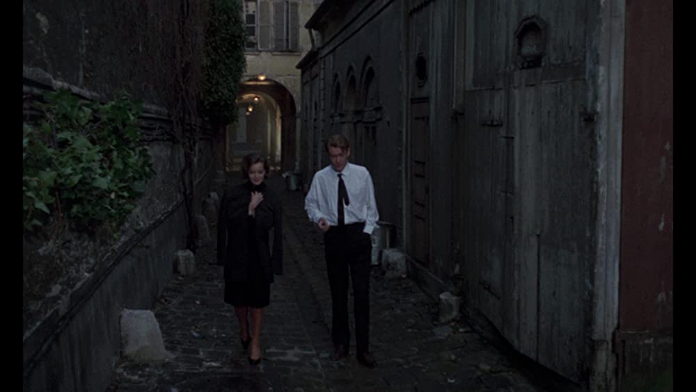 何かいいことないか子猫チャンの画像