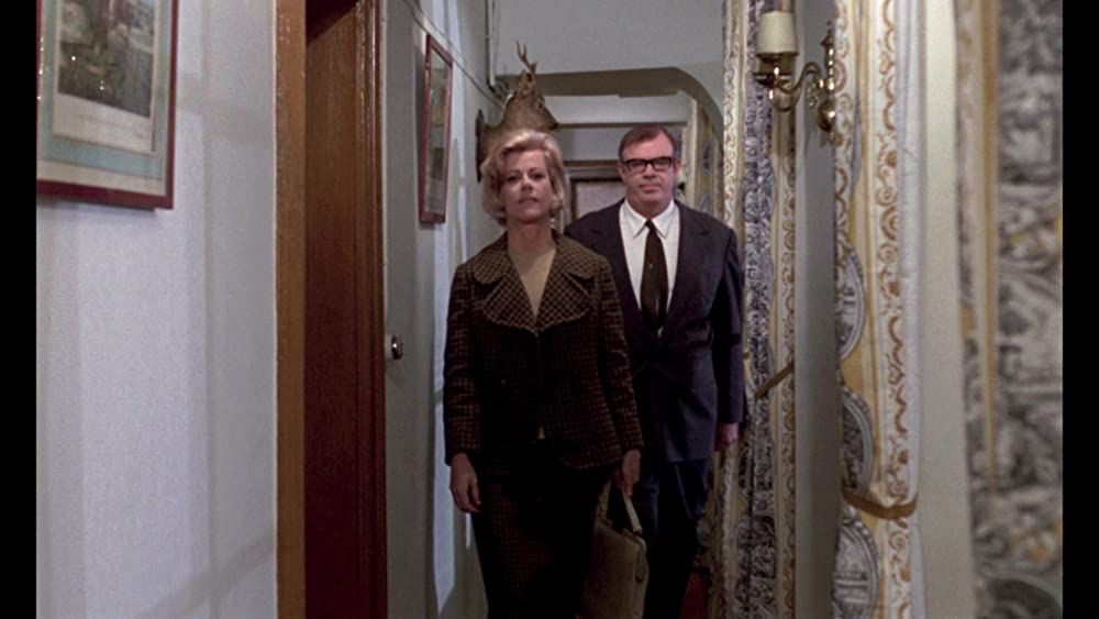 何かいいことないか子猫チャンの画像