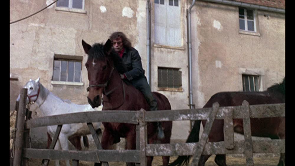 何かいいことないか子猫チャンの画像