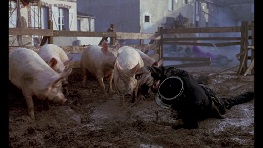 何かいいことないか子猫チャンの画像