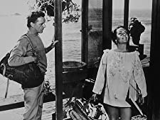 いそしぎの画像