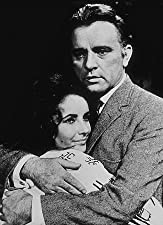 いそしぎの画像