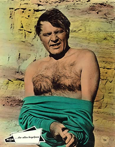 いそしぎの画像