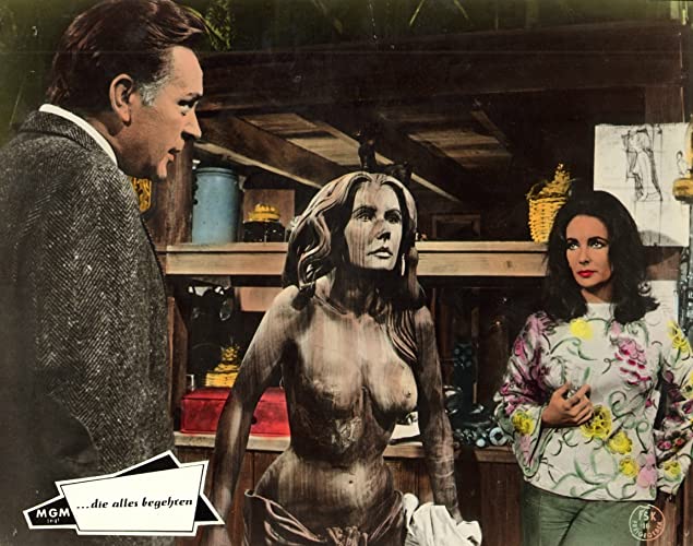 いそしぎの画像