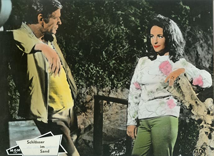 いそしぎの画像