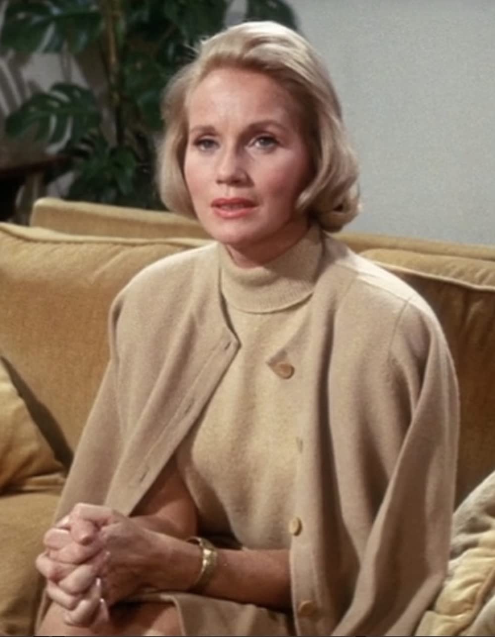 いそしぎの画像