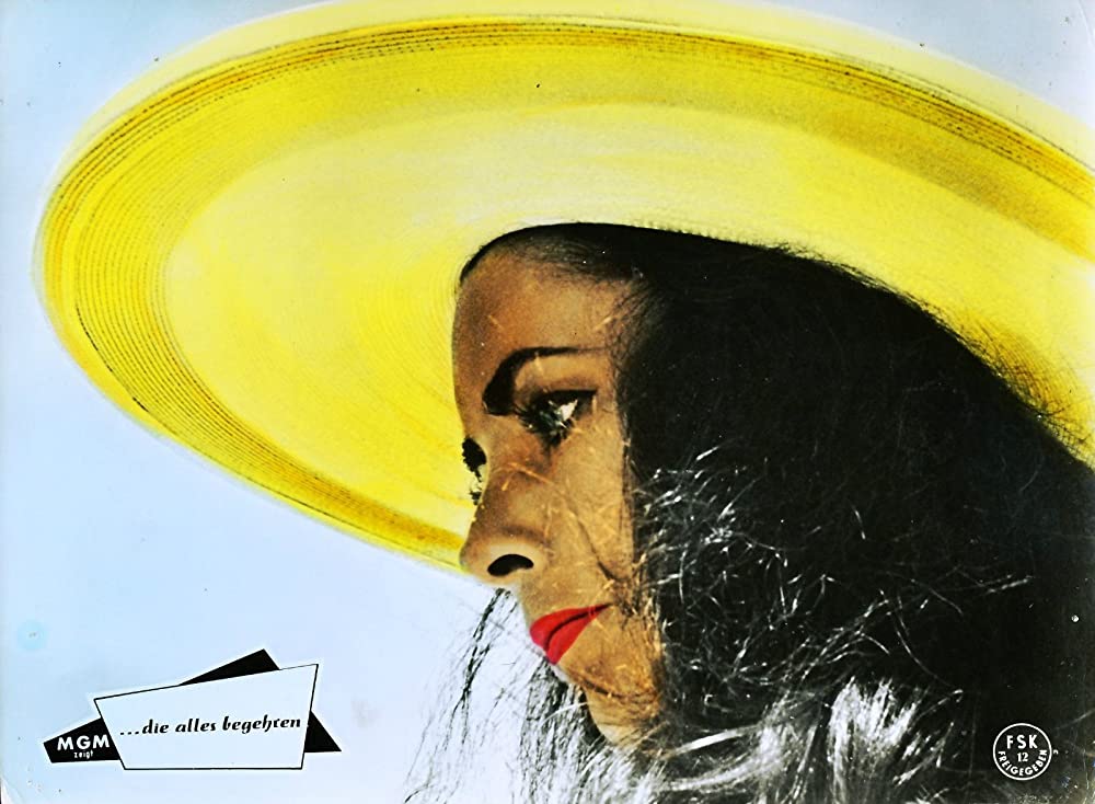 いそしぎの画像