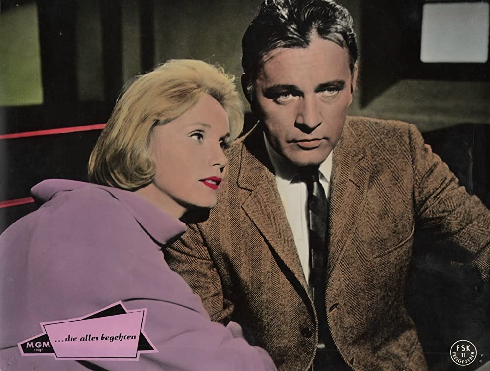 いそしぎの画像