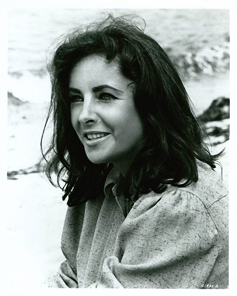 いそしぎの画像