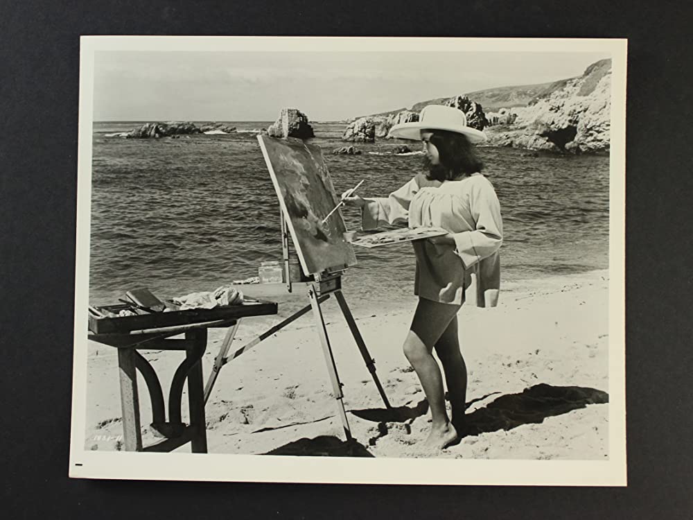 いそしぎの画像