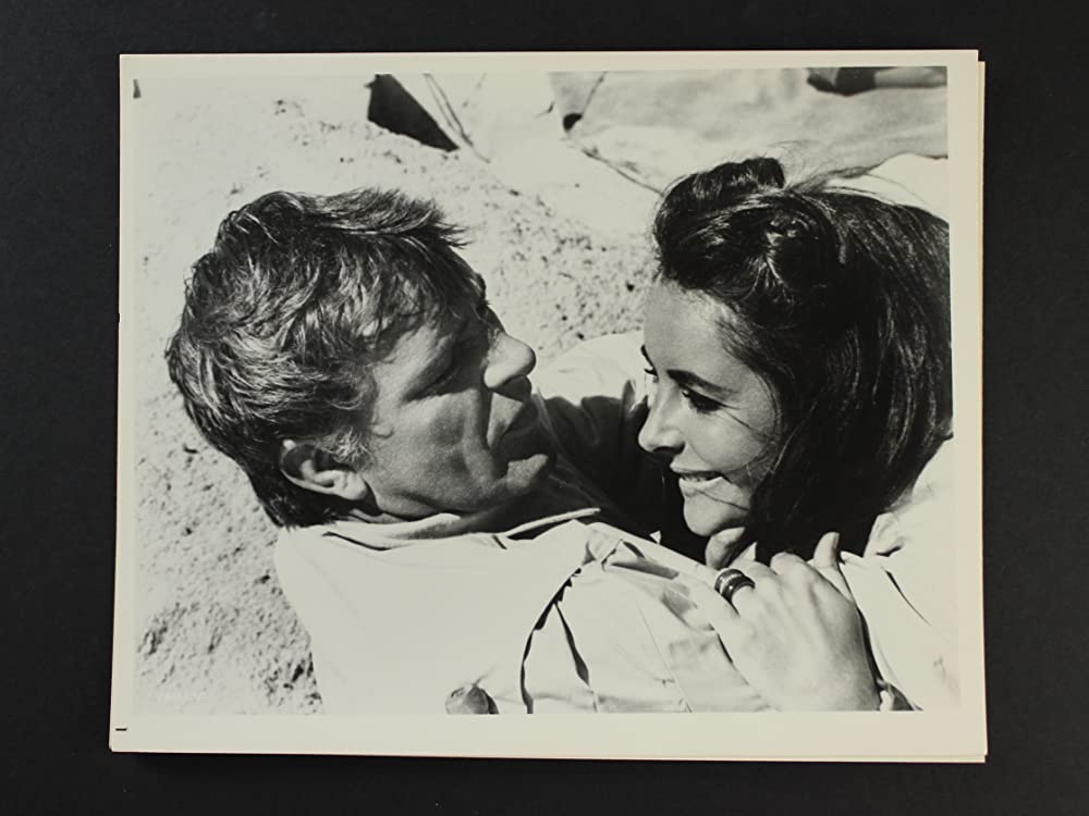 いそしぎの画像