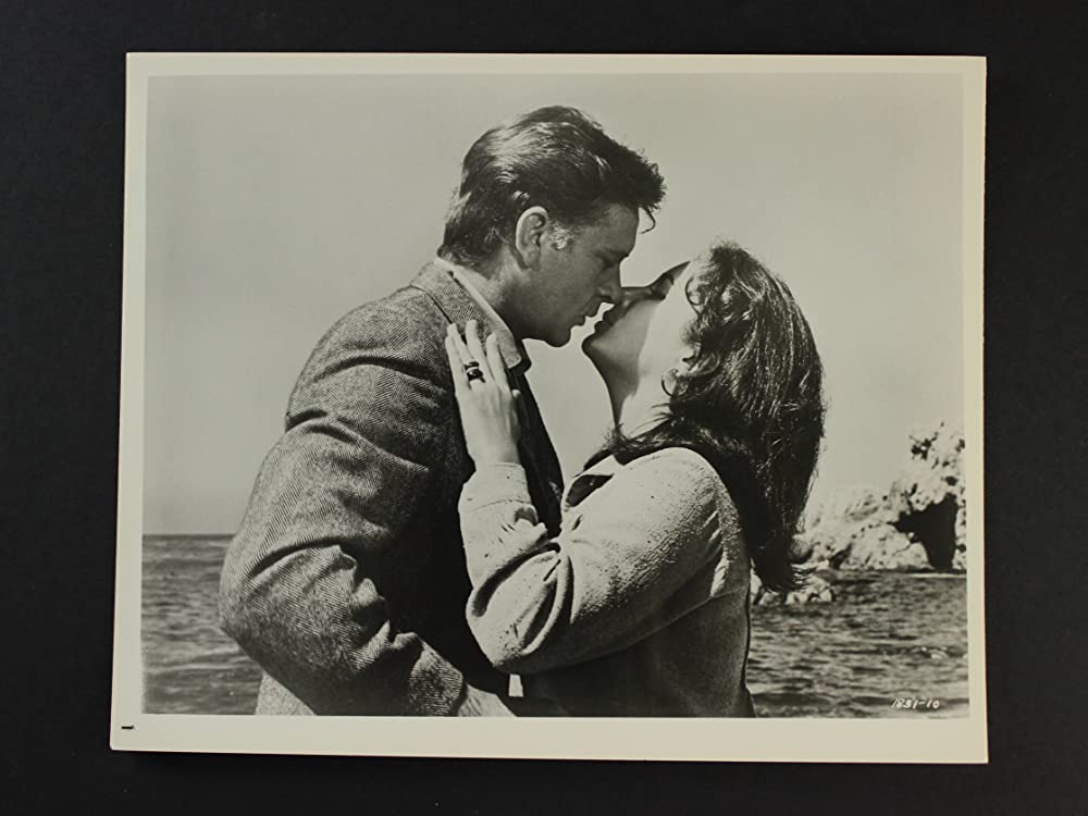 いそしぎの画像