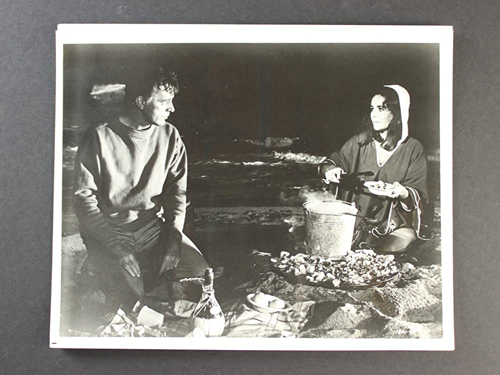 いそしぎの画像