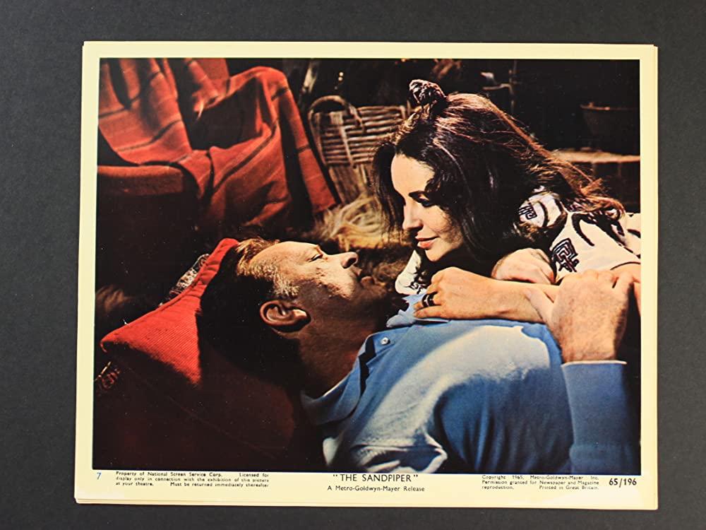 いそしぎの画像