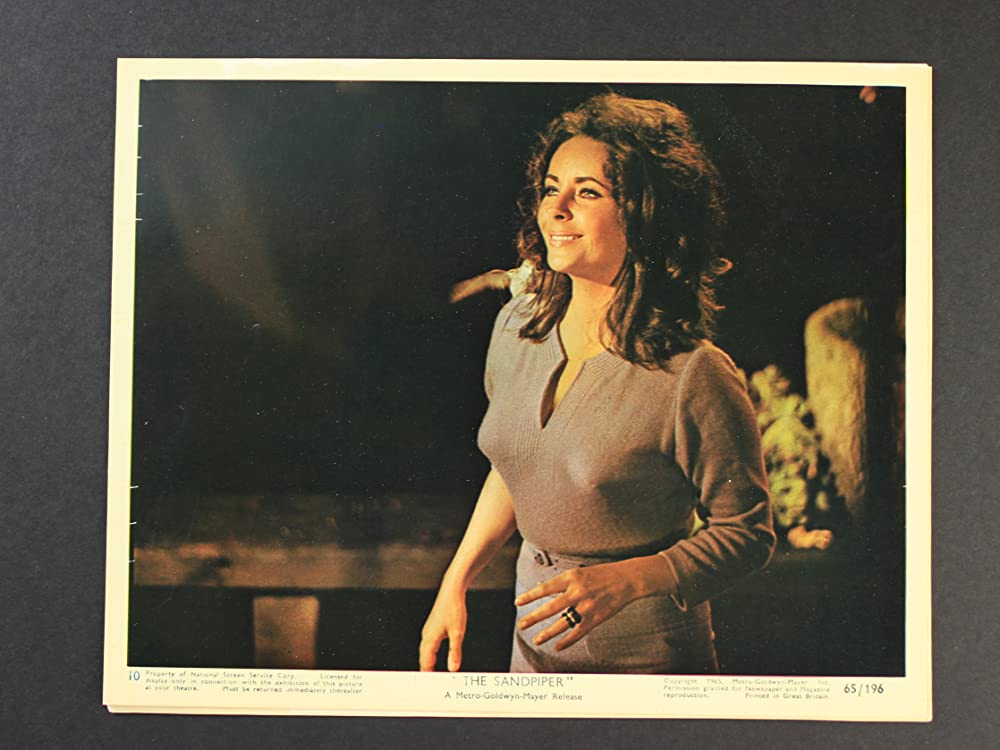 いそしぎの画像