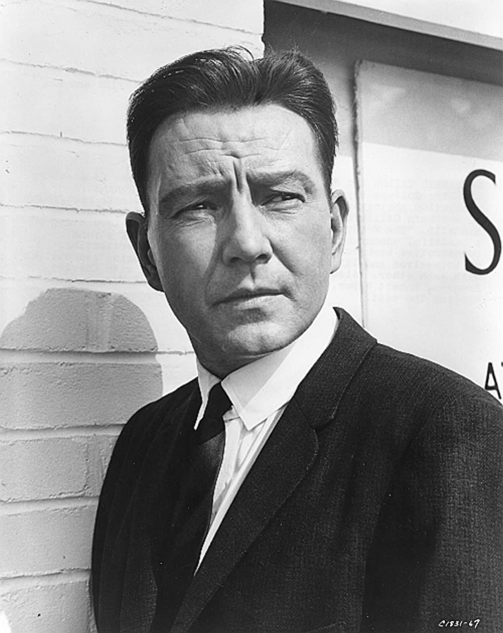 いそしぎの画像