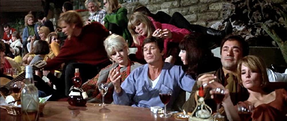 いそしぎの画像