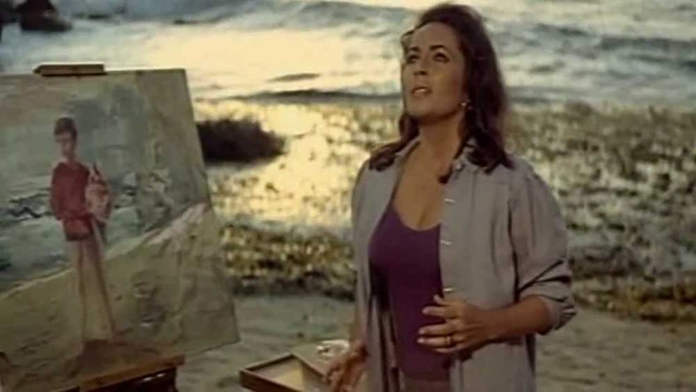 いそしぎの画像