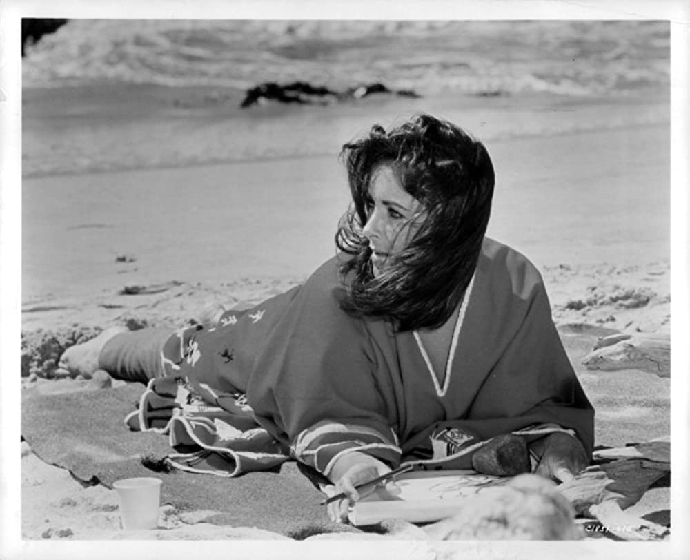 いそしぎの画像