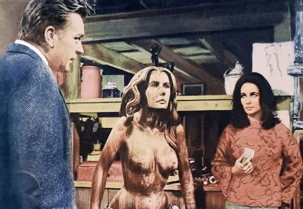 いそしぎの画像