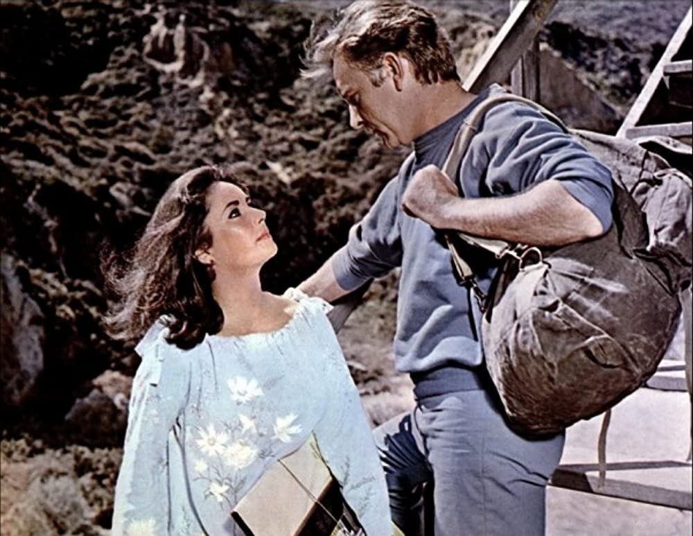「いそしぎ」リチャード・バートン & エリザベス・テイラーの画像