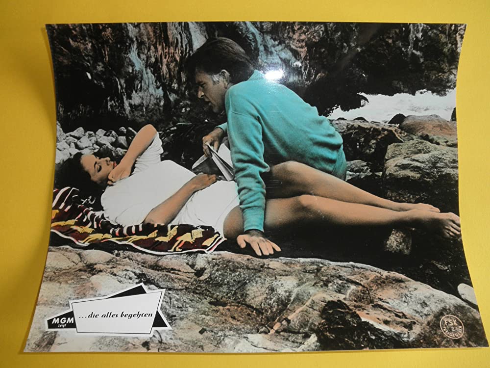 いそしぎの画像