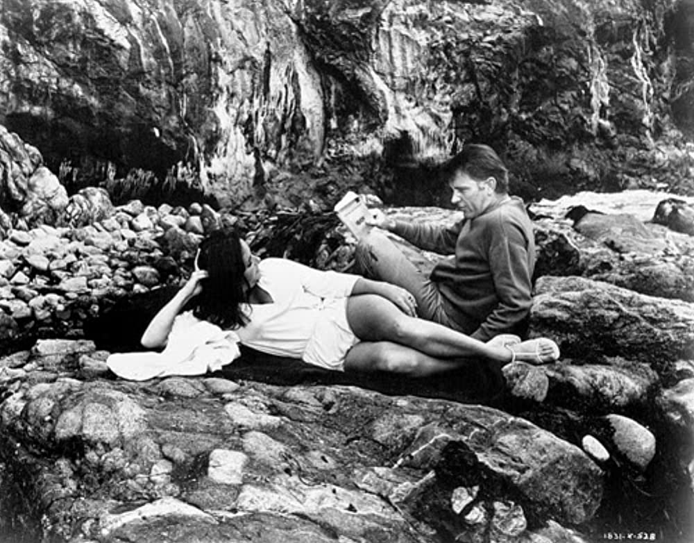 いそしぎの画像