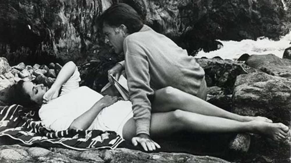 いそしぎの画像