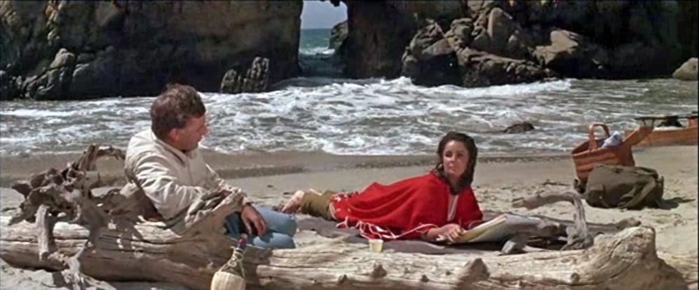 いそしぎの画像