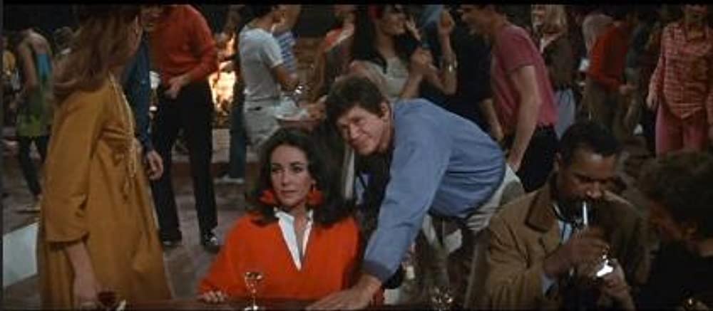 いそしぎの画像