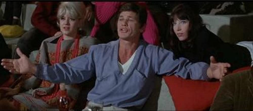 いそしぎの画像