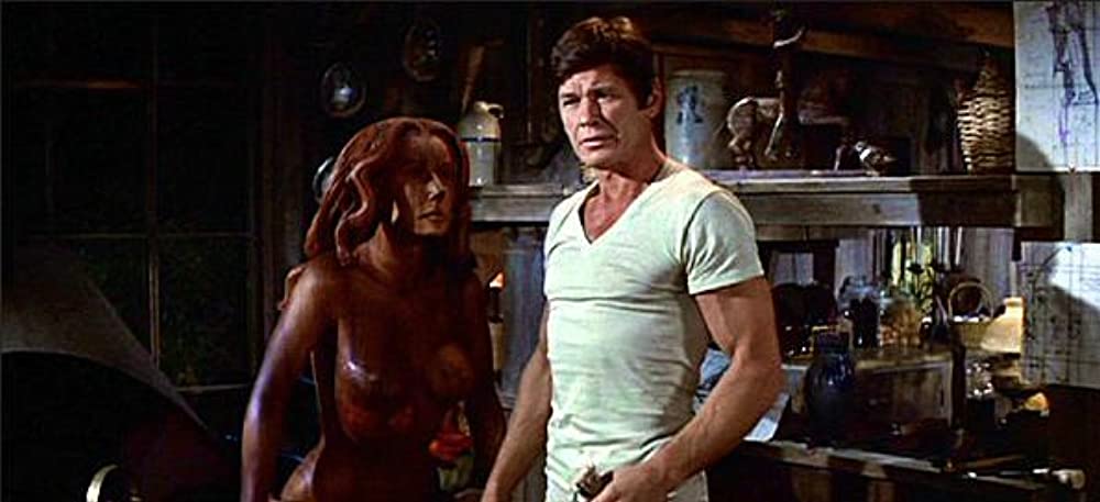 いそしぎの画像