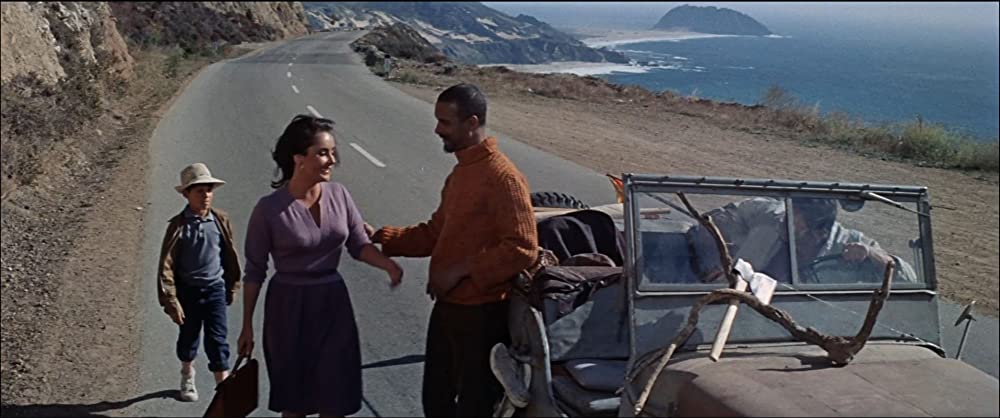 いそしぎの画像