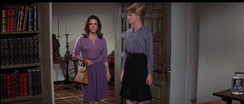 いそしぎの画像