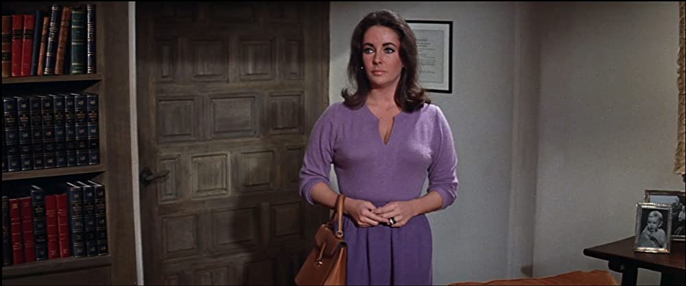 いそしぎの画像