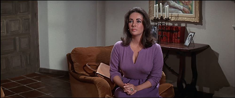 いそしぎの画像