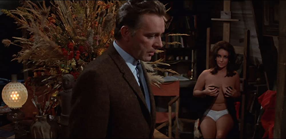 いそしぎの画像