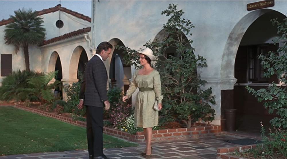 いそしぎの画像