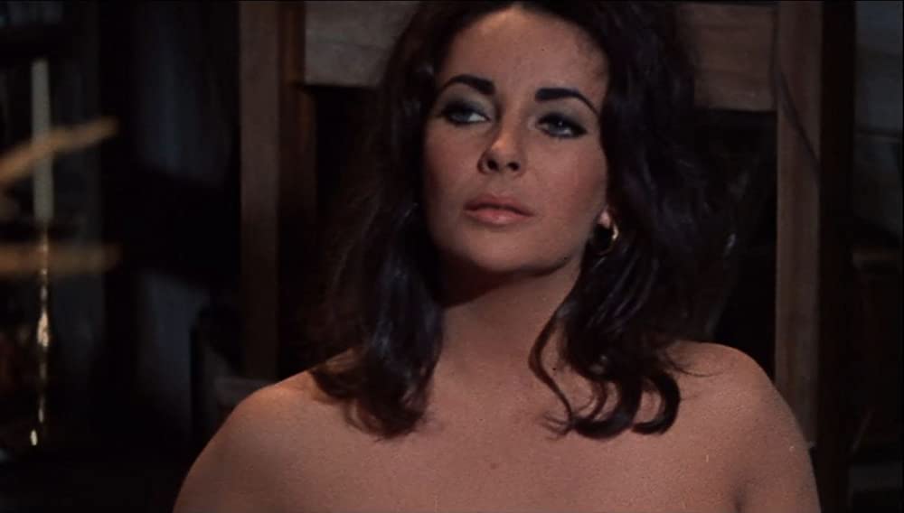 いそしぎの画像