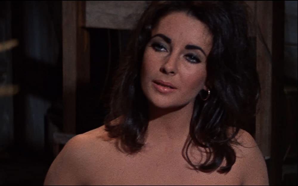 いそしぎの画像