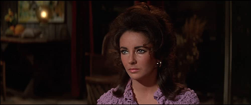 いそしぎの画像