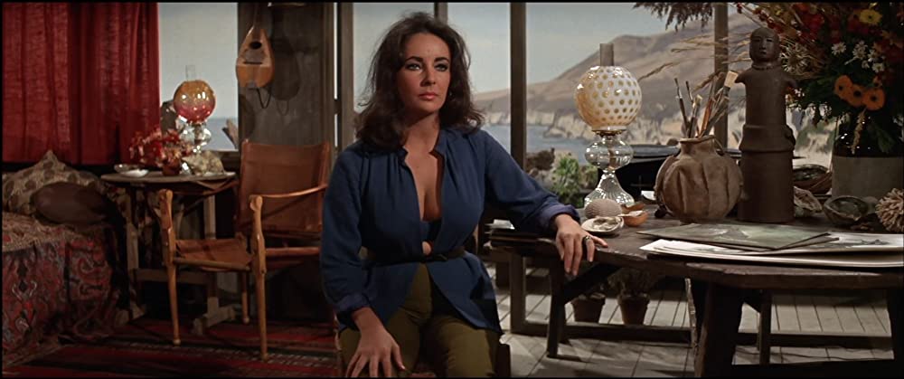 いそしぎの画像